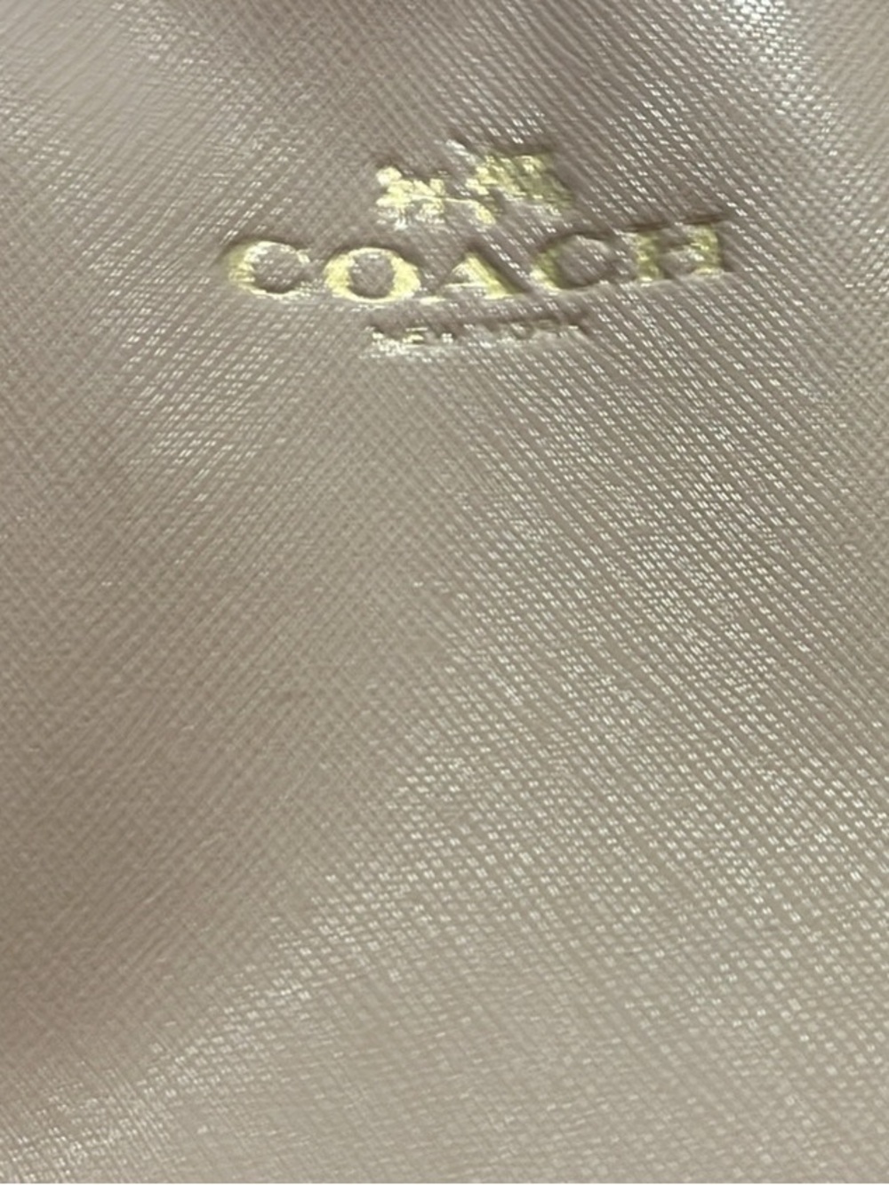 Coach Nude/Tan Leather Zip Pouch with Gold-Tone Hardware